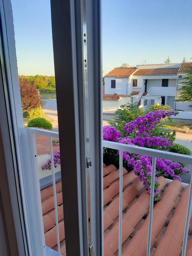 Apartment Enis Барбарига Екстериор снимка