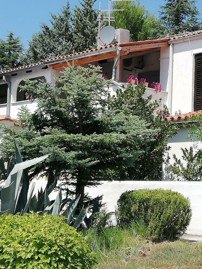 Apartment Enis Барбарига Екстериор снимка